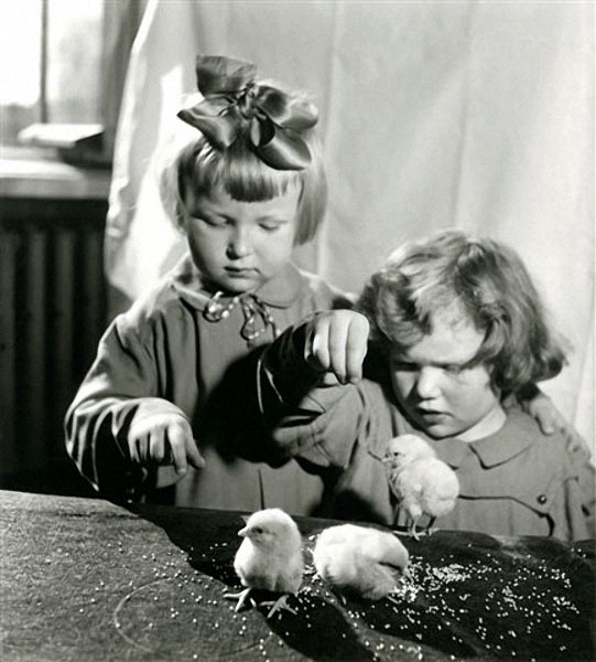 Дети и цыплята. Автор Рюмкин Яков, 1950-e