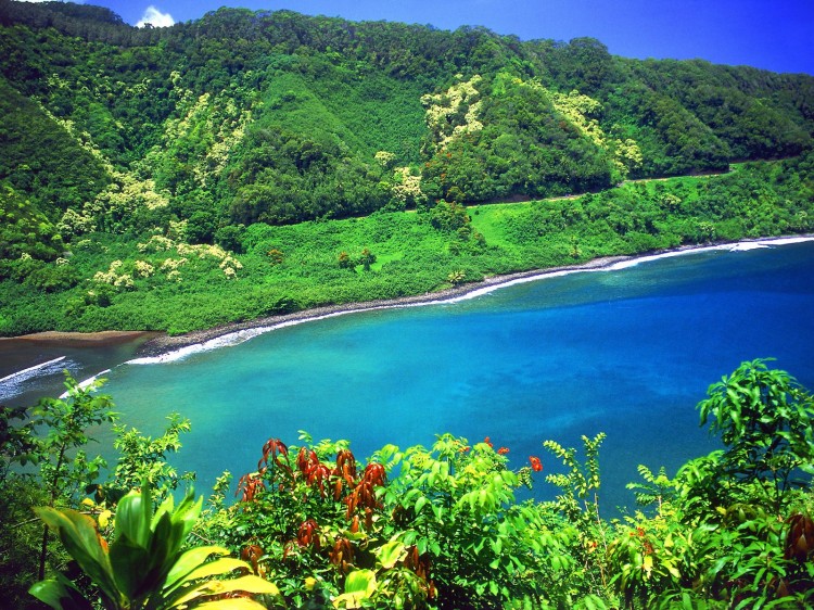 Гавайские острова355