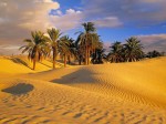 Тайны песков Сахары